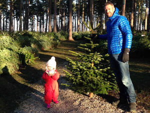 Supporting image for story: A family tradition – Christmas tree picking
