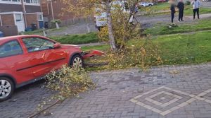 Cars, trees and fences were all damaged by the lorry