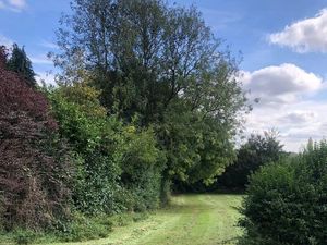 Supporting image for story: Lottery grant allows Telford orchard project to take root