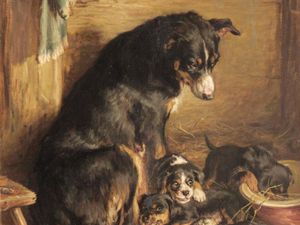 Supporting image for story: Paintings once owned by Rolling Stones drummer to be sold in dog art auction