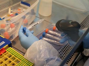 Supporting image for story