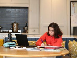 Supporting image for story: ‘Unacceptable level of opaqueness’ over homeschooling, MPs say