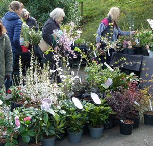 Spring Plant Fair Returns to Bodenham Arboretum on Saturday 28th March