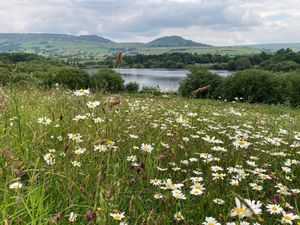 Tittesworth Water. Photo: Severn Trent