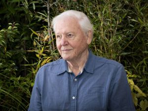 Supporting image for story: Sir David Attenborough to explore final day of the dinosaurs for new BBC film
