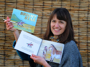 Supporting image for story: Children's book inspired by Shropshire's wild ponies