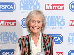 Supporting image for story