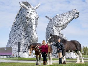 Supporting image for story: Celebrations mark 10th anniversary of The Kelpies