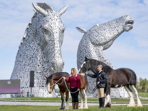 Supporting image for story: Celebrations mark 10th anniversary of The Kelpies