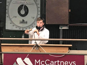 Supporting image for story: Farming column: Soaring success of cow sales