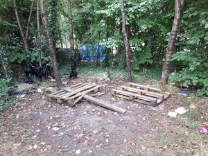 Supporting image for story: Cannabis dens found in two Shropshire villages