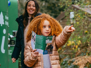 Supporting image for story: Half term fun at Wyre Forest without breaking the bank!