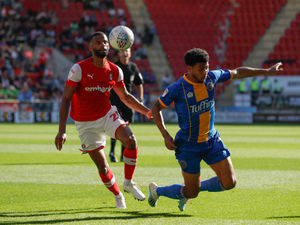 Supporting image for story: Rotherham 0 Shrewsbury Town 0 - Match highlights