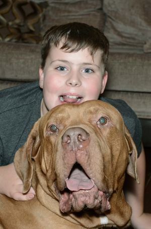 Jordan and Ozzy are inseparable 