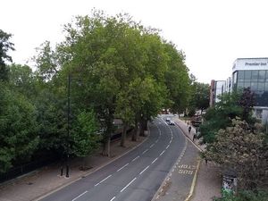 Supporting image for story: Main Shrewsbury town centre road to close for tree pruning