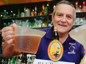 Supporting image for story: All hands to the pumps for town's beer festival