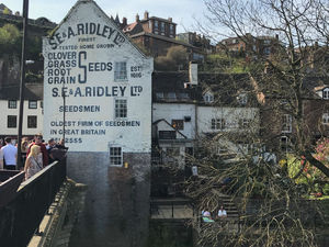 Supporting image for story: Music festival heading to Bridgnorth