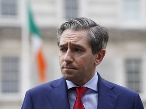 Supporting image for story: Search for new markets for Irish goods ‘must go on’, says deputy premier Harris