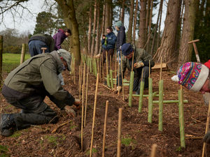 Supporting image for story: Shropshire Hills conservation project calling out for volunteers to help build ‘super-highways’ for wildlife this winter
