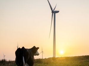 Supporting image for story: Bute Energy launches plans for latest energy park in Mid Wales