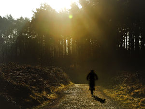 Supporting image for story: Police warning after busy weekend at Cannock Chase