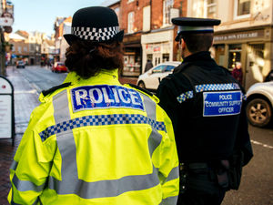 Supporting image for story: Investigation launched after Rugeley cat killed with suspected pellet gun