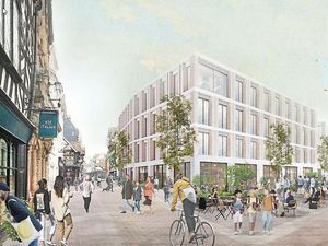 Supporting image for story: Towns centres could be 'like Disneyland in their own right'