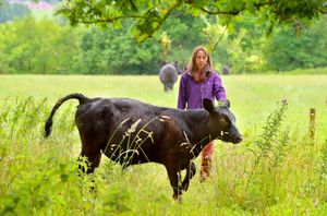 Supporting image for story