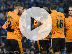 Supporting image for story: Watch highlights of Brighton 0 Wolves 1