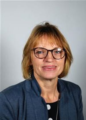 Town and County Councillor Angela Davies will be meeting with highways officers to discuss the issue