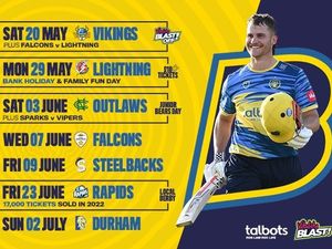 Supporting image for story: Exclusive offer: Save £15 on Birmingham Bears T20 Vitality Blast tickets 