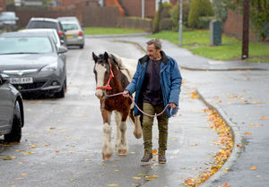 Mr Dudley keeps Paige in a nearby stable