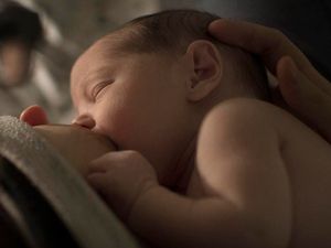 Supporting image for story: Breastfeeding can halve a mother’s risk of diabetes, study shows