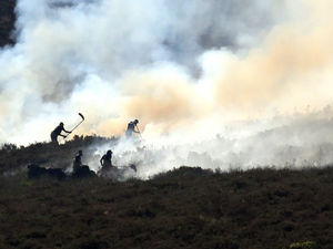 Supporting image for story: Moor owners talk of fire devastation