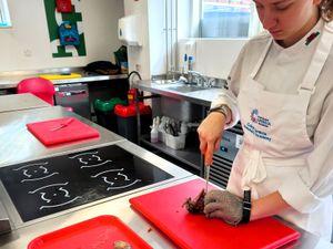 Supporting image for story: New Butchery Academy to shape the future of food skills