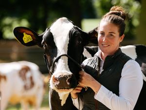 Supporting image for story: The Newport Show returns today