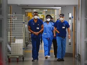 Supporting image for story: Expert says it may be too late for any new Covid restrictions