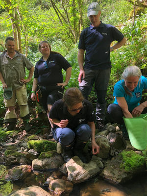Some of the project partners taking part in the release. Photo: Karim Vahed
