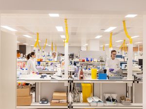 Supporting image for story: GSK acquiring firm developing food allergy treatment in £1.6bn deal