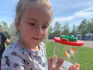 Supporting image for story: Green-fingered primary pupils continue work on Market Drayton allotment during lockdown