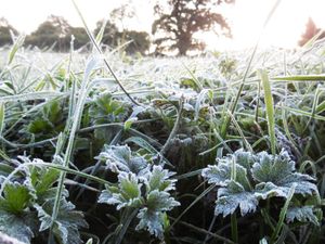 Supporting image for story: 'When will it warm up?' Weather experts have some good news for the West Midlands