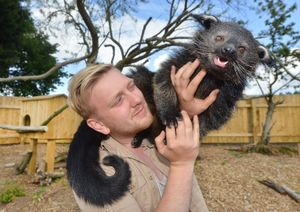 Wild Zoo director Zachary Hollinshead 