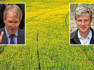 Supporting image for story: GM food bid step closer to shelves