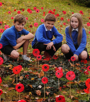 Looking at the poppy display in 20108 are pupils (left-right) Gethin Edwards, 10, Ethan Hodgetts, 9, and Millie-Mae Buttrick, 9, at Five Ways Primary School, Cannock