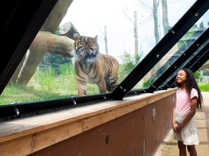 Supporting image for story: Zoo's search for a young conservationist