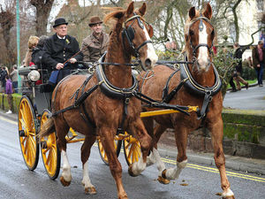 Supporting image for story: Annual horse parade draws crowd to Newport
