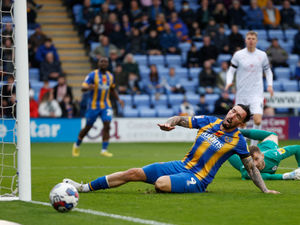 Supporting image for story: Shrewsbury 0-1 Barnsley - Report