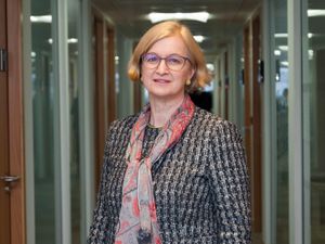 Supporting image for story