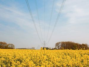 Supporting image for story: Warmer weather forecast for Easter weekend