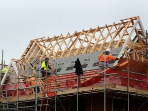 Supporting image for story: Trees in line for chop for access road in Ludlow